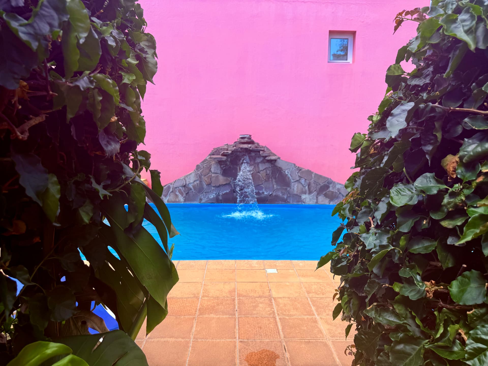 Swimming pool viewed through lush green foliage, with a stone waterfall against the pink wall